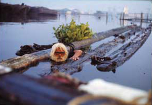 Viktor gathering lumber in the canals